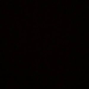 Meet your Posher, Dylan